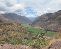 IMG_0554