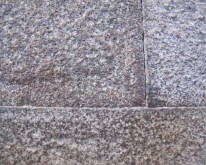 IMG_0935