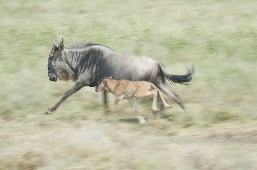DSC_0872.jpg