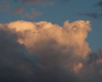 DSC_0478