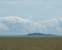 DSC_0874