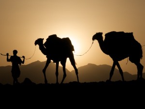 Salz Abbau in der Danakil