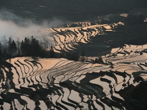 China 2016