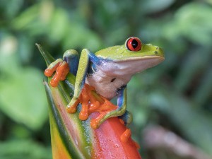 Costa Rica 2017