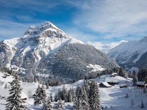 Arni 17.1.2015