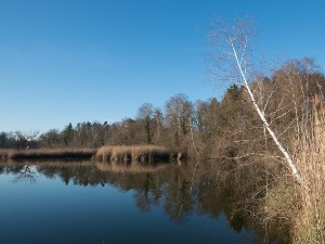 Huusemer-See 26.12.2015