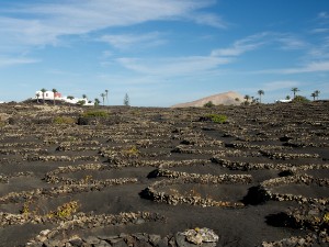 Lanzarote 2014
