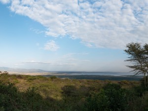 Panoramas